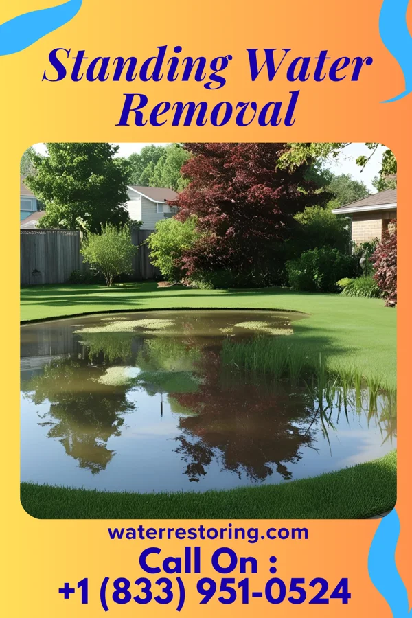 Standing Water Removal in Marshville, NC